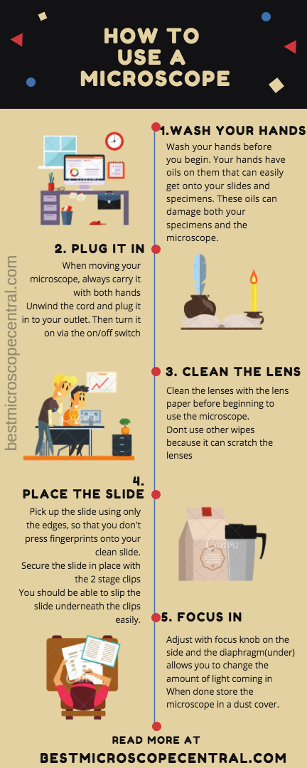 how-to-use-a-microscope-step-by-step-infographic